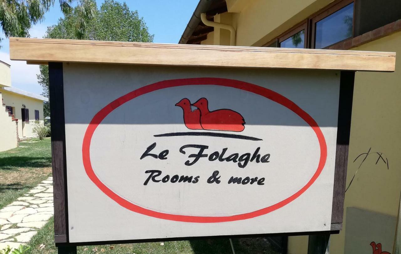 Agriturismo Le Folaghe تيراتشينا المظهر الخارجي الصورة